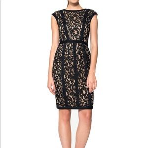 Tadashi Shoji Embroidered Lace cap sleeve Dress